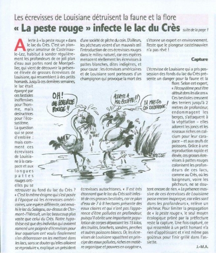 PESTE ROUGE AU LAC DU CRES 001.jpg