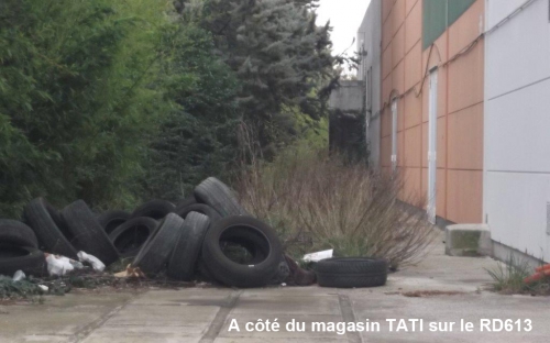 tati 03 2015.jpg