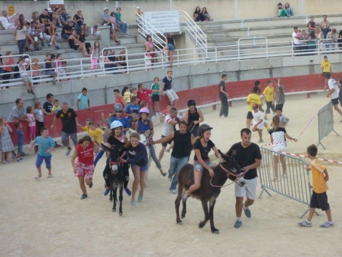 P1030062.jpg
