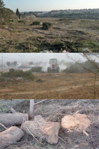 deforestation_Le_Cres.jpg