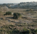 blog,cres,herault,actualite