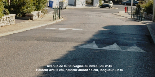 Avenue_Sauvagine_vue44br.jpg