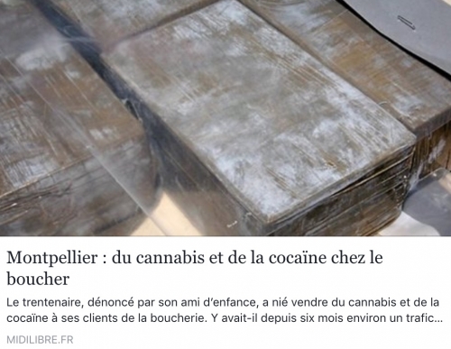 Capture d’écran 12.jpg