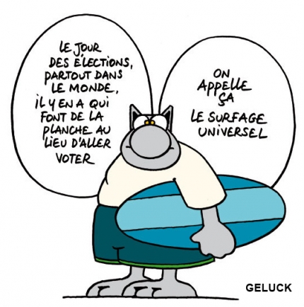 le-chat-geluck-vote-ou-abstention2-89d85.jpg