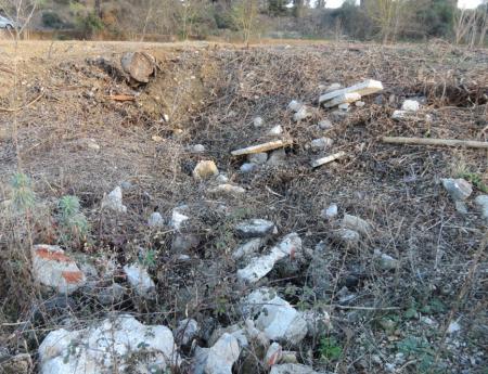 Les abords immédiats des jardins familiaux 1