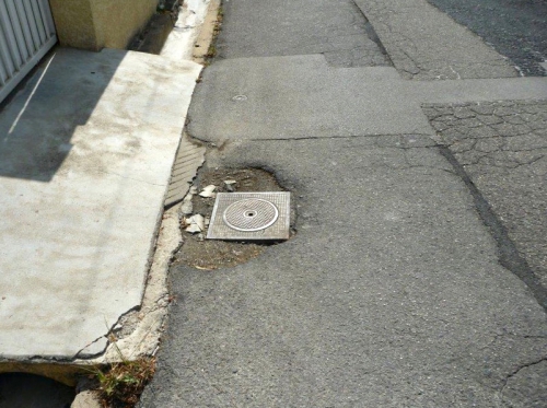 Poulaillere4.jpg